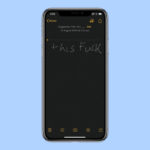 iOS 13 цензура