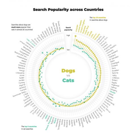 Google хвилюють питання кішок і собак