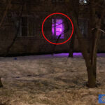 фіолетове світло