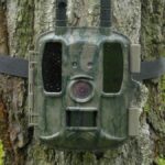 фотоловушка