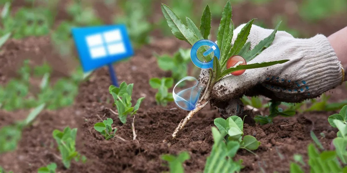 Що буде, якщо довго не перевстановлювати заново Windows 10