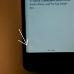 жовта пляма