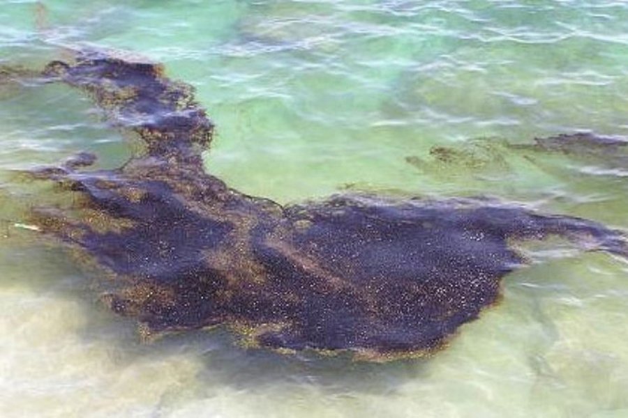 Забруднення дуже сильне: у Чорному морі розлилася нафта