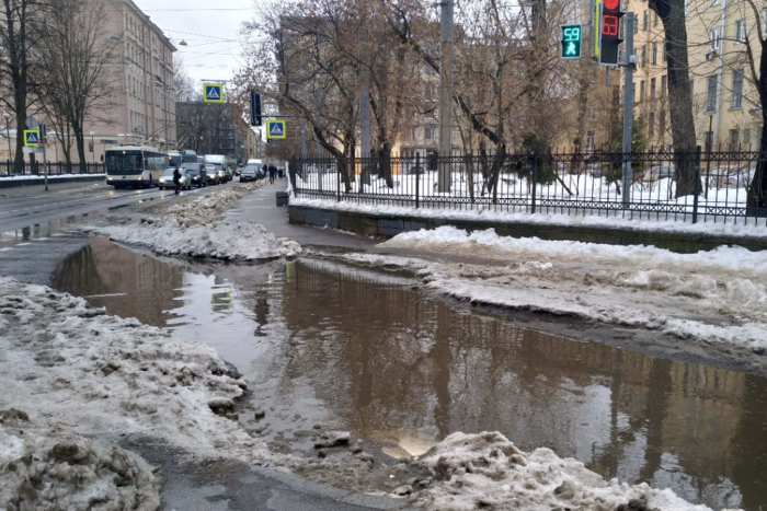 Снег в Украине полностью исчезнет – климатолог «раскрыла карты»