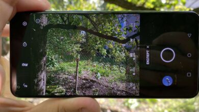 OnePlus Nord 2 камера