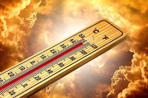 +20 тепла и солнечная погода в Украине – прогноз на неделю