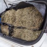 Сіно в багажнику