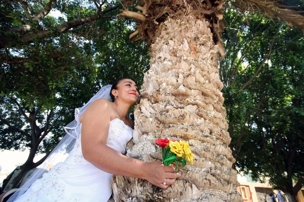 заміж за дерево