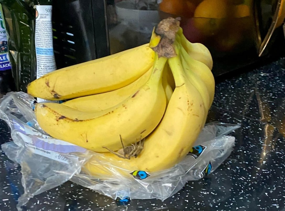 Сидел среди бананов: в популярной торговой сети обнаружили самого ядовитого паука в мире