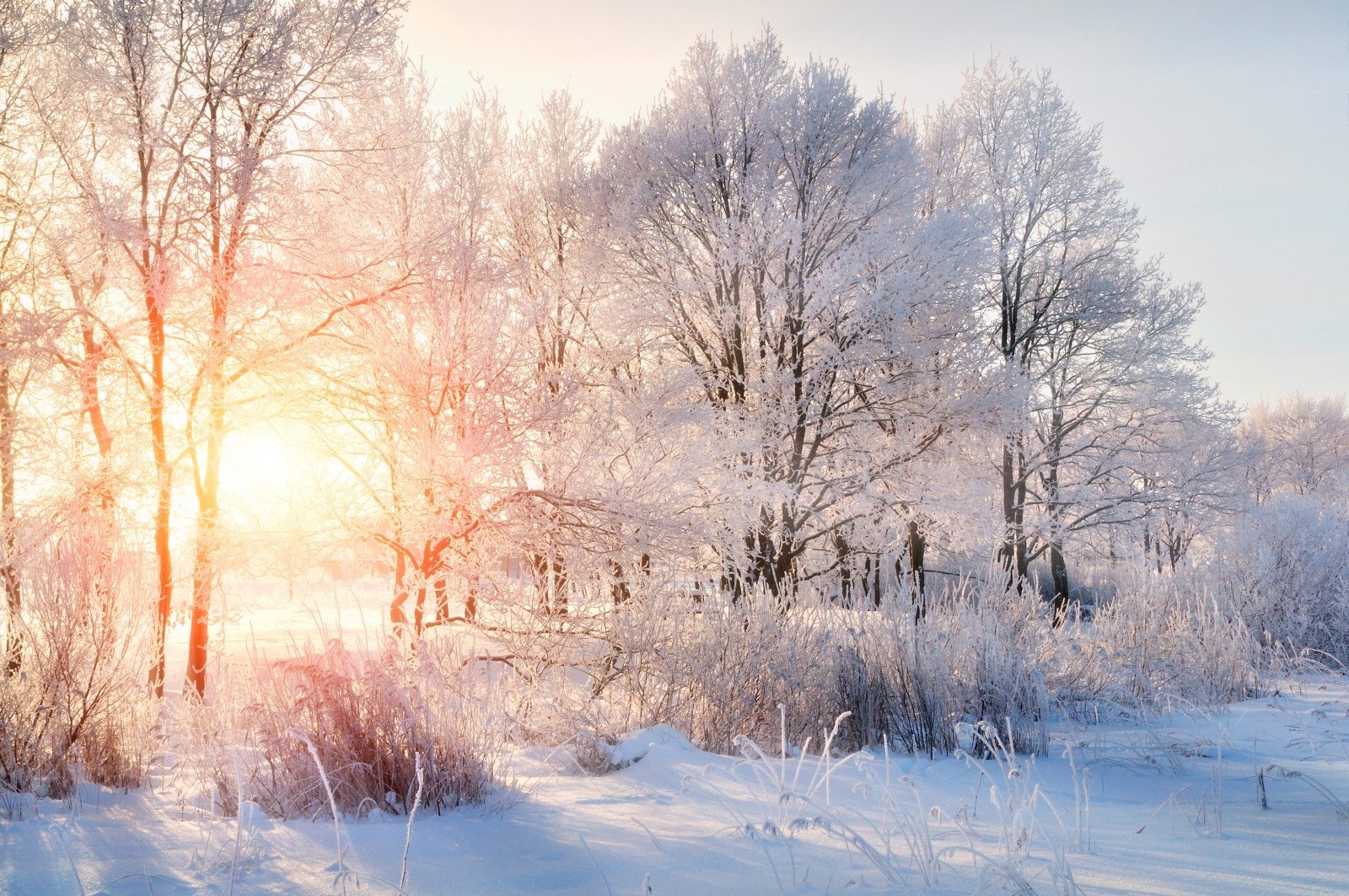 Мороз і вдень і вночі: синоптики прогнозують серйозне похолодання