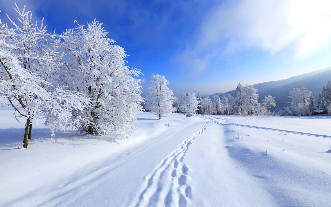 В Україну йде справжня зима: синоптики розповіли наскільки сильними будуть морози та хуртовини