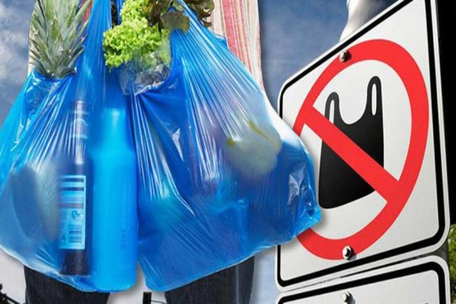 Замена пластиковых пакетов: сколько придется платить за экологичные аналоги