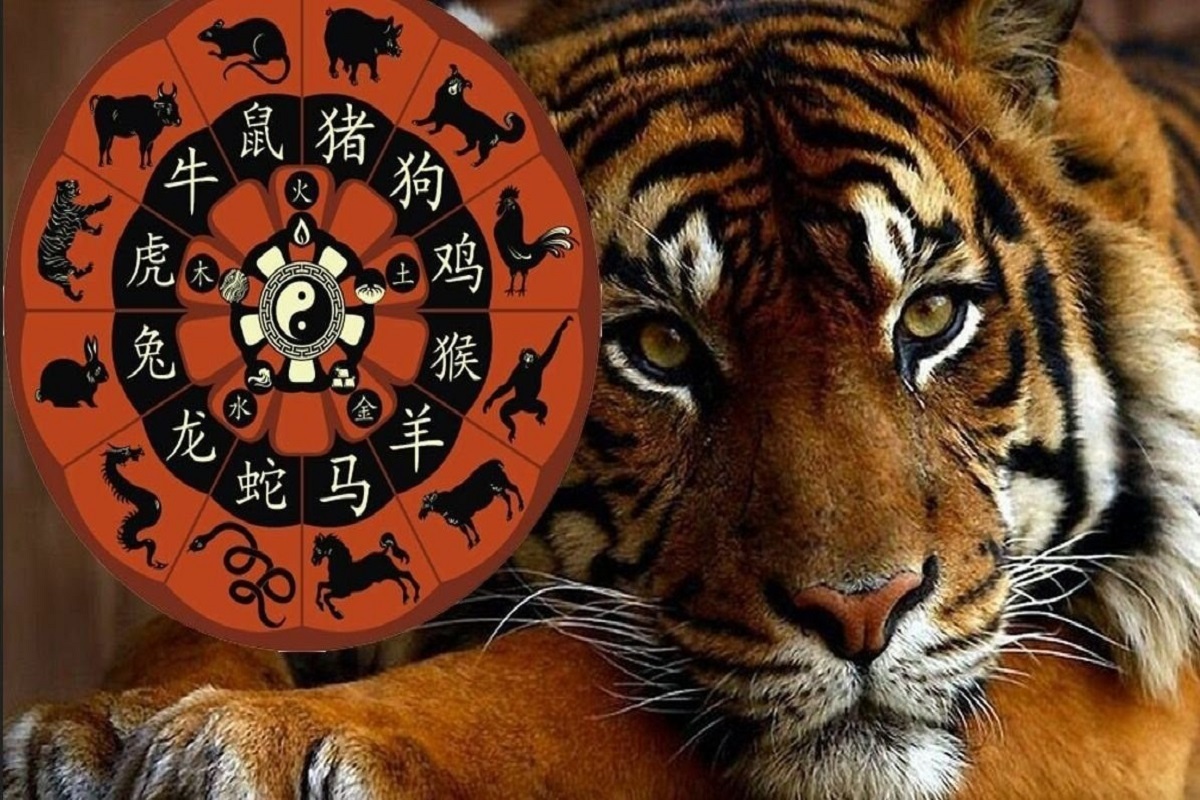 6 знаков зодиака, которым повезет в 2022 году: кому принесет удачу Черный Тигр