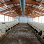 ферма китай