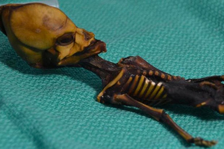 Ученые раскрыли тайну инопланетного скелета из пустыни Чили