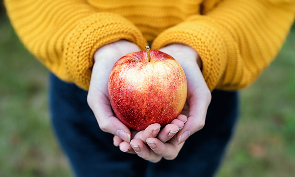 Повно флавоноїдів: що буде з людиною, якщо їсти яблука щодня