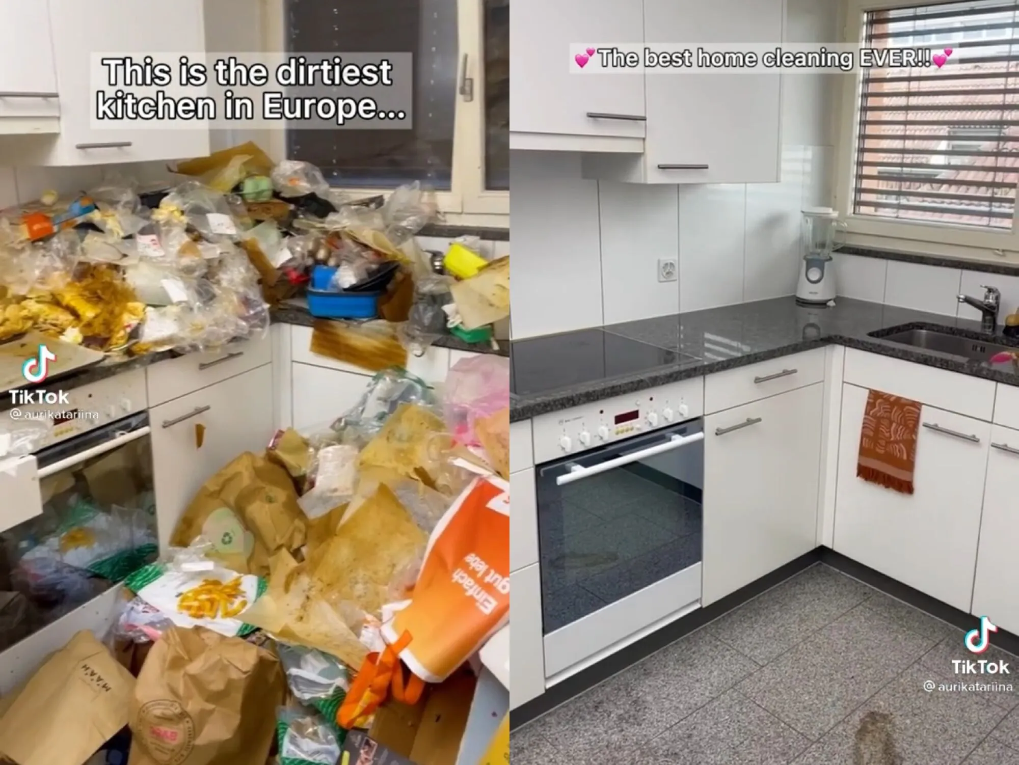 Блогерка отмыла самую грязную кухню Европы, в ней не убирали 5 лет: шокирующие фото