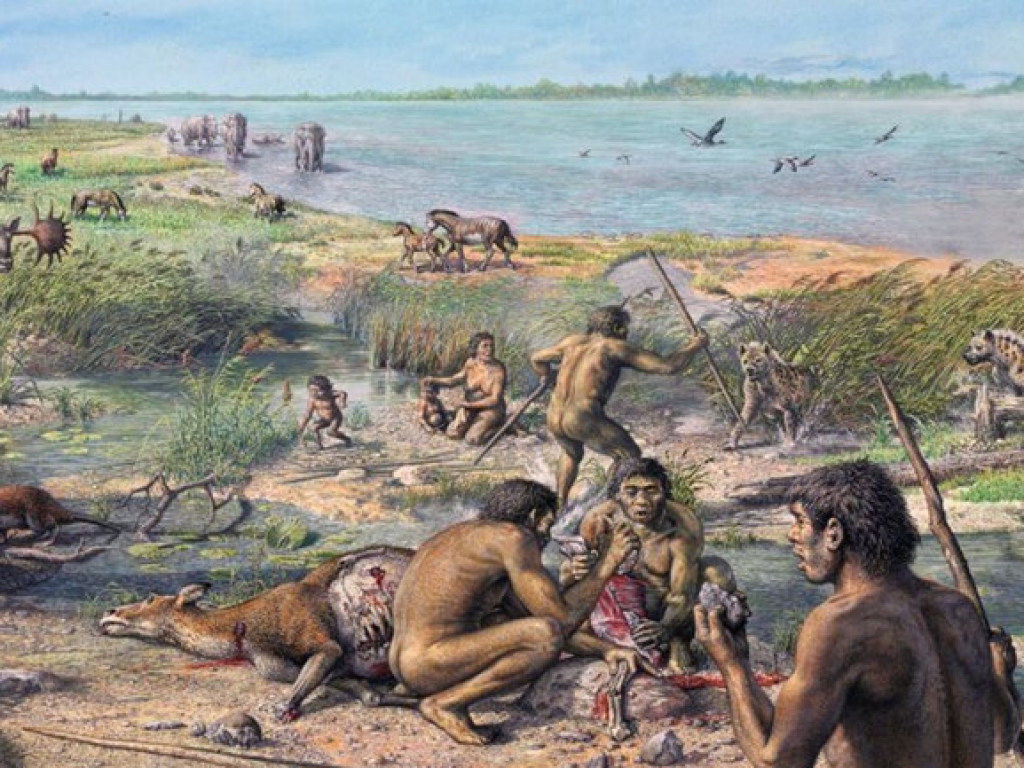 Древнюю «соцсеть» нашли в Африке, она процветала более 50 000 лет назад: фото