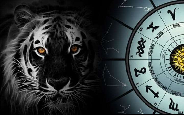 Чорний тигр офіційно набув прав: астрологи склали китайський гороскоп на 2022 рік