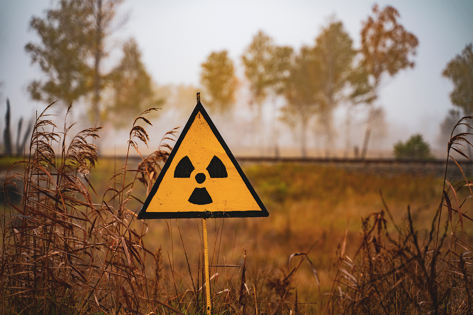 Украинцы онлайн могут проверить актуальный радиационный фон в своем регионе