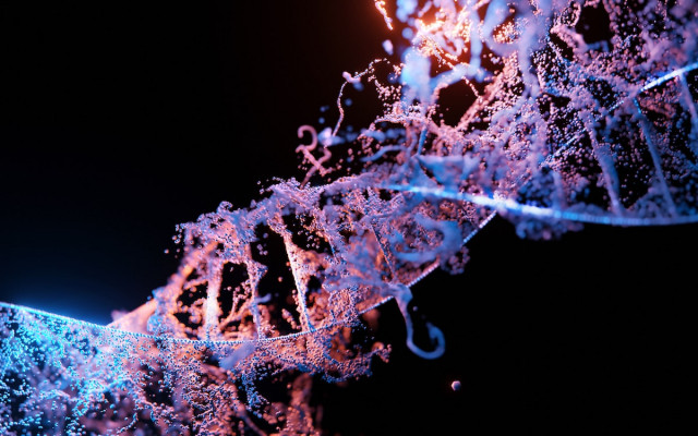 Реконструйовано повний геном людини