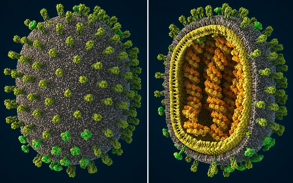 Вірус грипу А