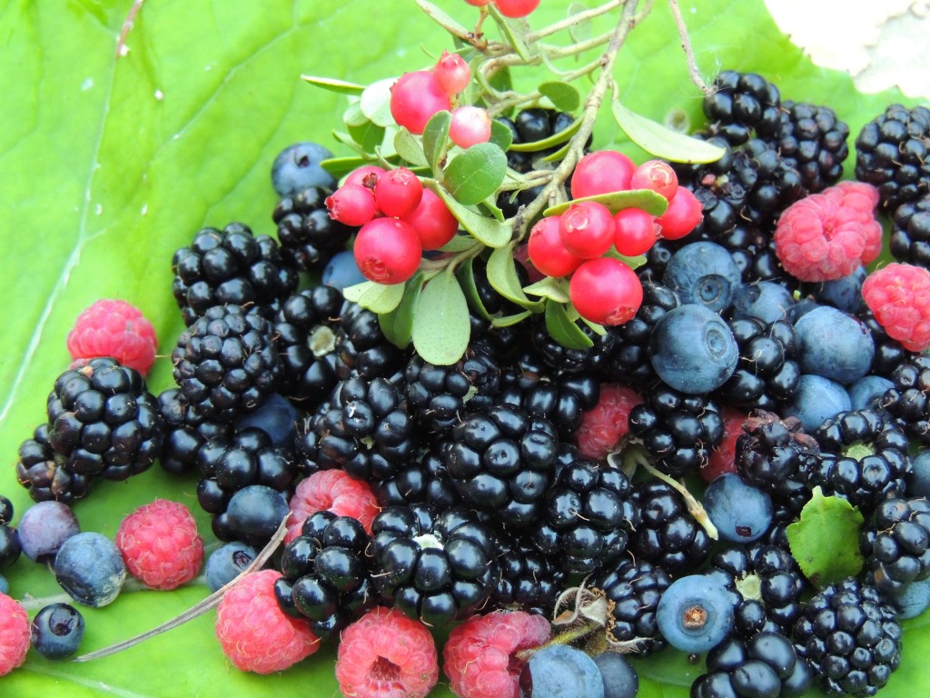 Комаровський розповів, які сезонні ягоди категорично не можна їсти дітям