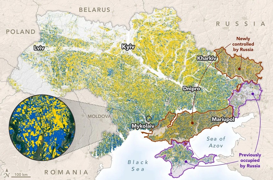 Стало відомо, скільки насправді полів з українським врожаєм контролюють окупанти 