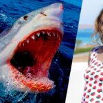 Єгипет акула