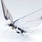 Дрон стрикоза