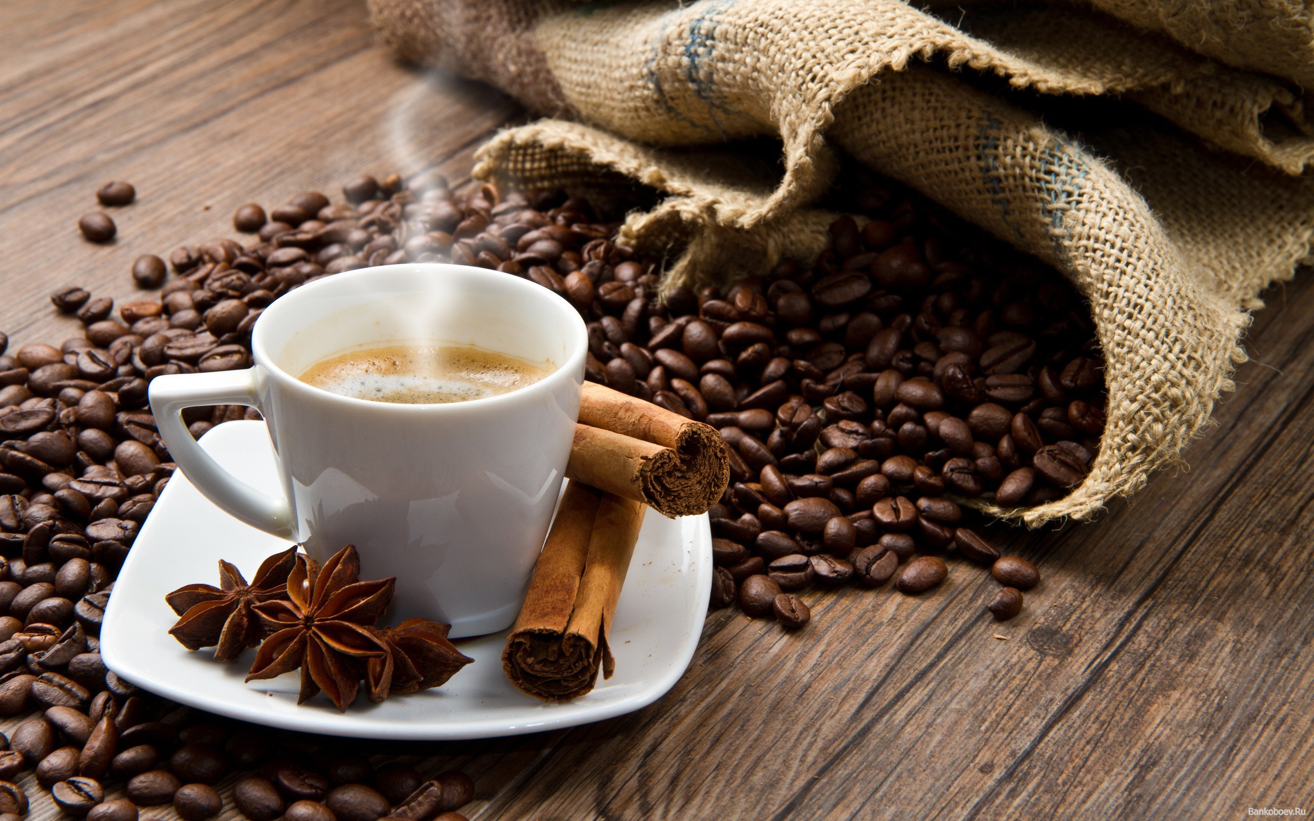 Кофе в капсулах для домашнего и профессионального использования — где купить, какие выбрать?