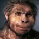 Мавпа людина