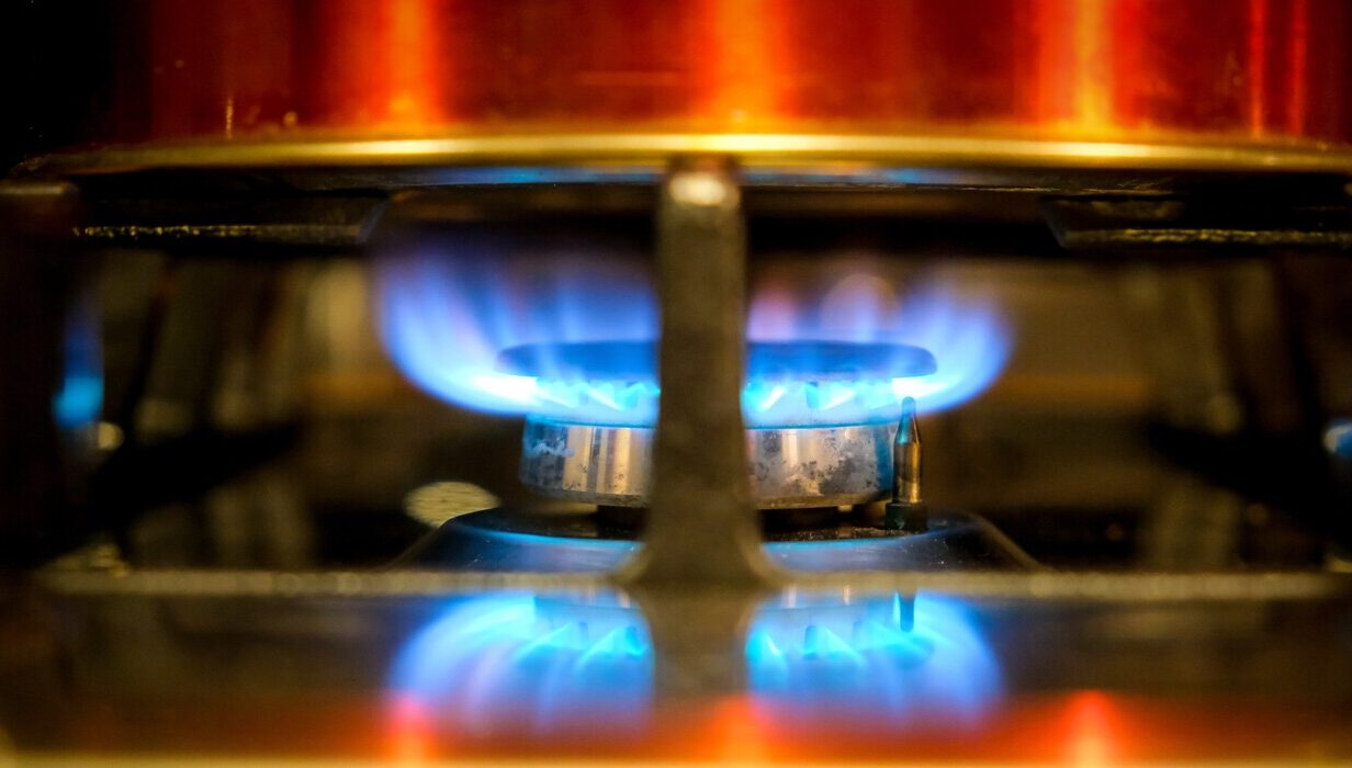 В НБУ заявили, що буде з тарифами на газ: стримувати їх ріст більше не вдасться