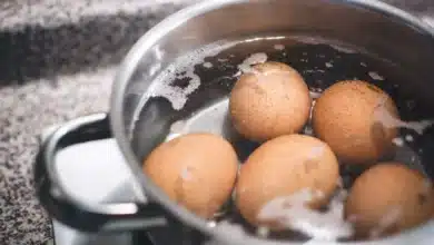 яйця