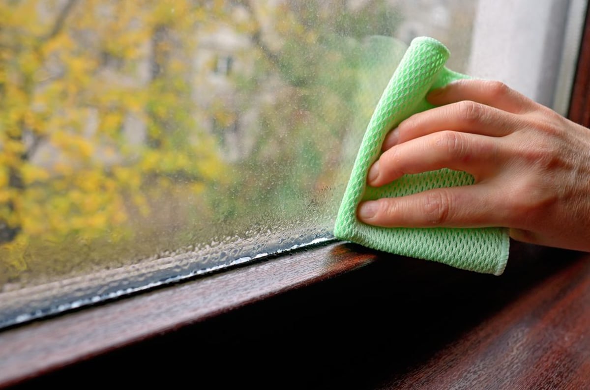 Это копеечное средство поможет избавиться от конденсата на окнах: лайфхак по мытью окон
