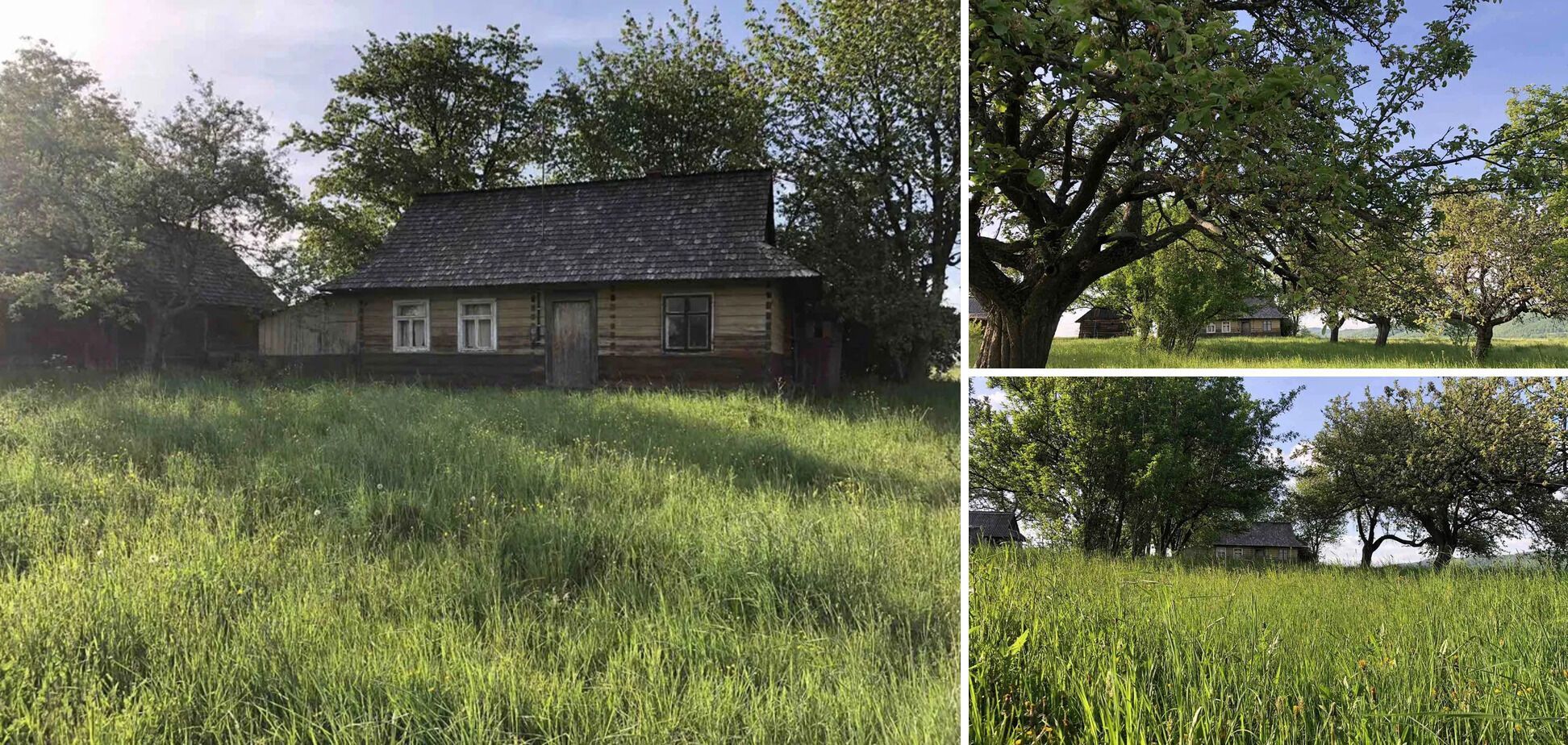 Дом в Карпатах за 8 000$ долларов: украинцам показали как выглядит дом в лесу