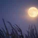 Голубий місяць