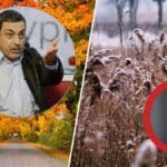 Павел Глоба