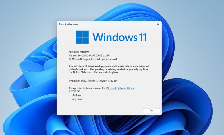 Windows 11