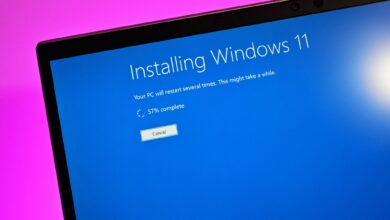 Windows 11