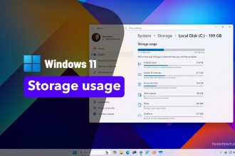 Windows 11