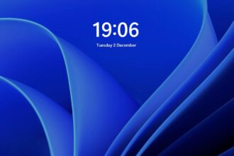Windows 11