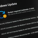 Windows 11