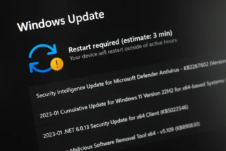 Windows 11