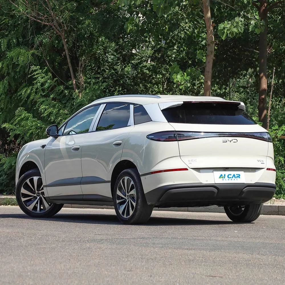 BYD Sea Lion 06